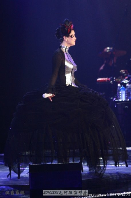 2010毛阿敏北京演唱会的介绍