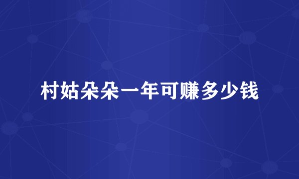 村姑朵朵一年可赚多少钱