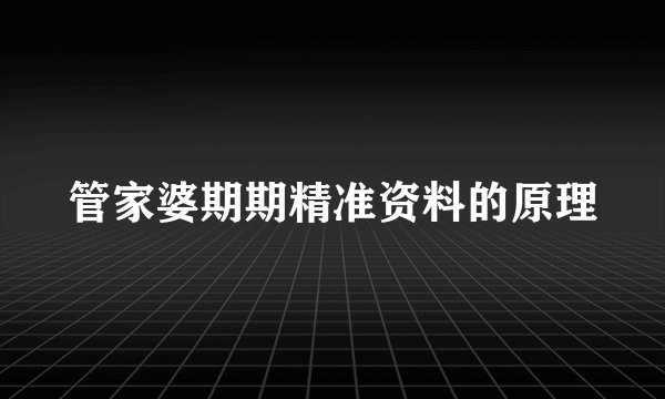管家婆期期精准资料的原理