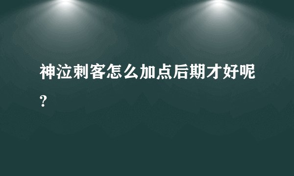神泣刺客怎么加点后期才好呢?