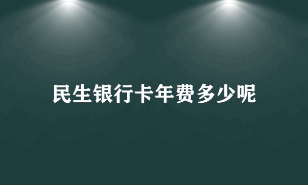 民生银行卡年费多少呢