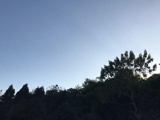 他强任他强,清风拂山岗,他横由他横,明月照大江 原文出处啥意思