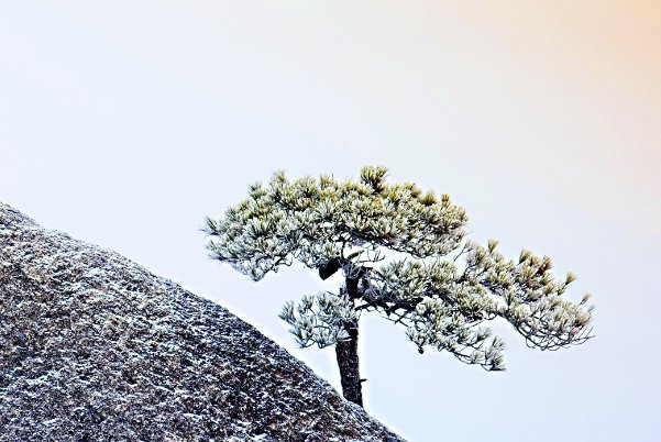 凌云之志是什么意思解释