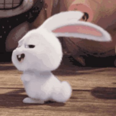 兜儿gif什么意思?