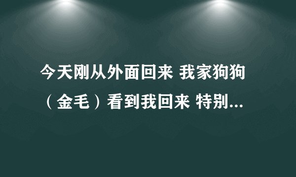 今天刚从外面回来 我家狗狗（金毛）看到我回来 特别兴奋的跑来抱我 结果它的指甲把我大腿刮伤了 请问