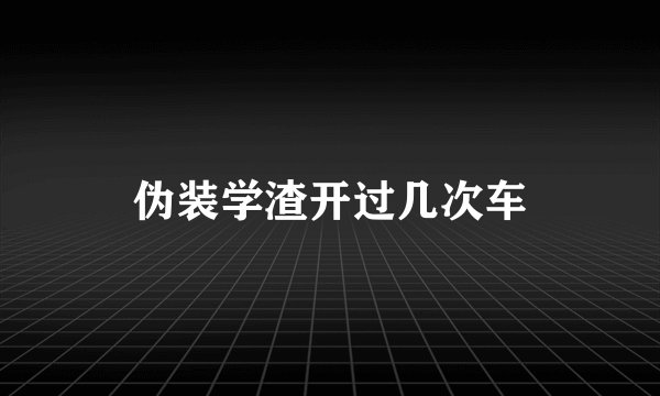 伪装学渣开过几次车