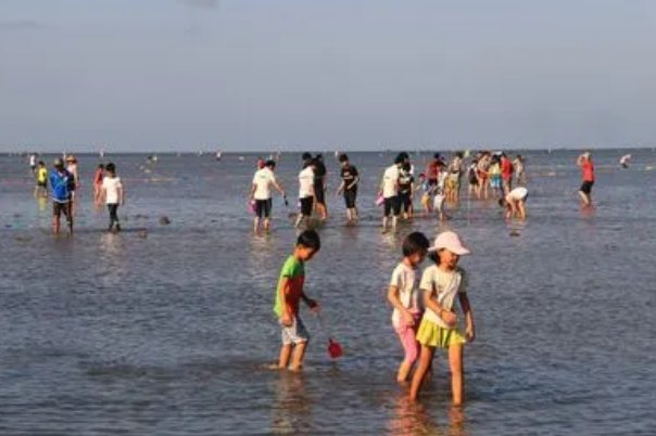 小石岛赶海时间表2023年8月