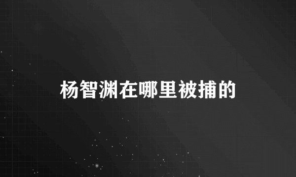 杨智渊在哪里被捕的