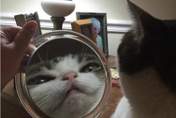 嗯看着镜子我们是怎么结合的