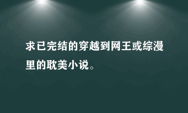 求已完结的穿越到网王或综漫里的耽美小说。