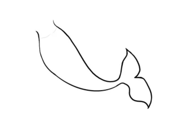 美人鱼尾巴怎么画