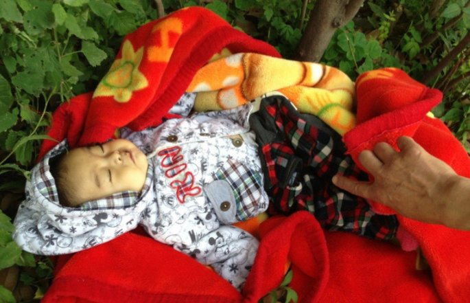 印度弃婴在小狗的依偎中存活，它们是如何照顾人类幼崽的