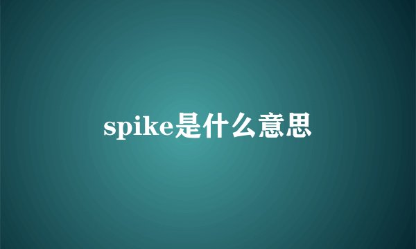 spike是什么意思