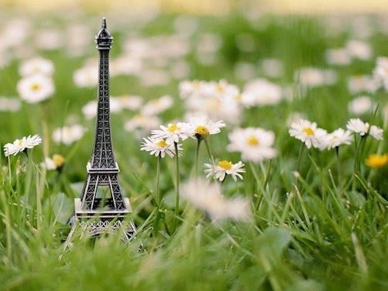 平安喜乐下一句是什么？