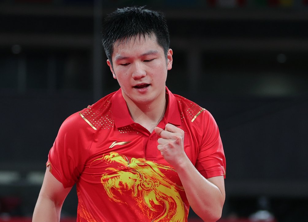 樊正东简历及个人资料简介