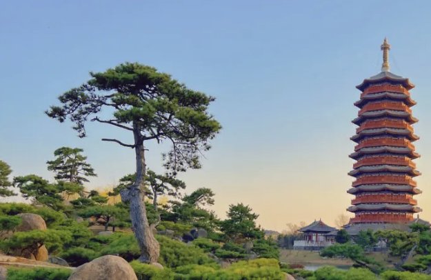 为什么今年清明不能扫墓