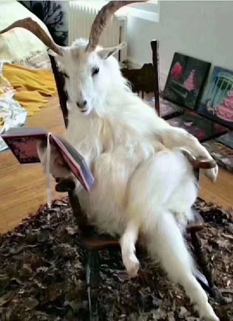 四月十六出生的是什么星座