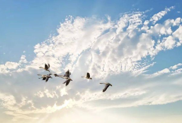 凌云之志是什么意思解释