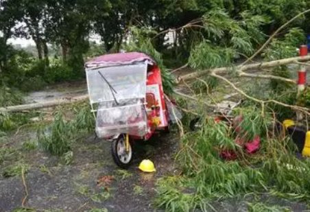 可能四登我国，“梅花”四世究竟是个什么样的台风？