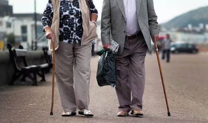 蜗牛英语怎么说snail