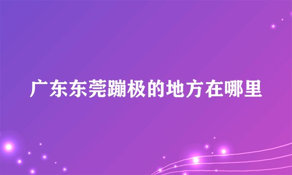 广东东莞蹦极的地方在哪里