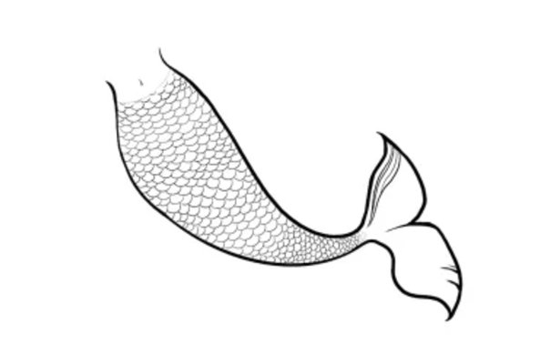 美人鱼尾巴怎么画