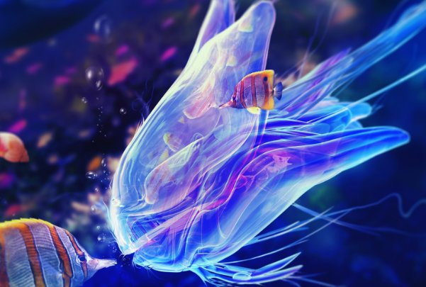 澳大利亚深海拍到47米长管状水母是真的吗？咋那么长？