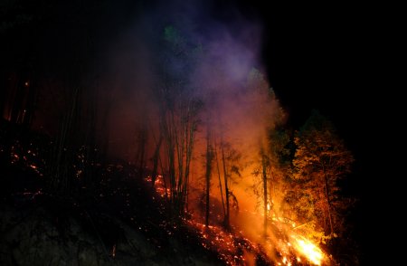 蔓延的解释意思