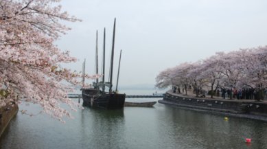 人间最美四月天的下一句是什么？