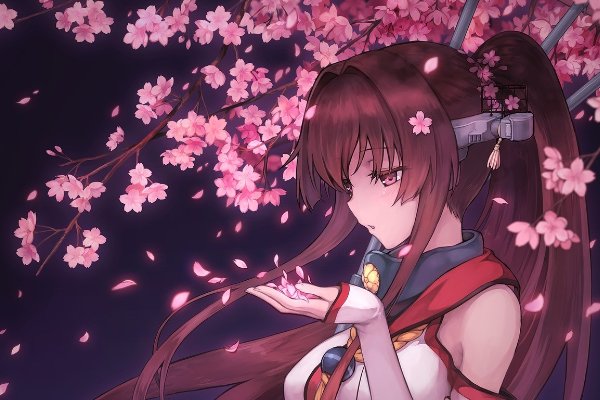 樱花动漫app在哪里可以下载？