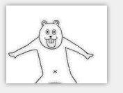 有图！这个生物，他叫什么名字。