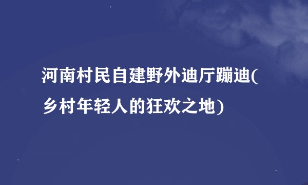 河南村民自建野外迪厅蹦迪(乡村年轻人的狂欢之地)
