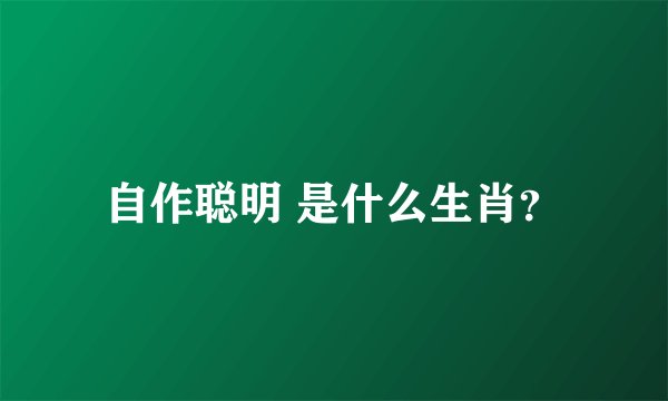 自作聪明 是什么生肖？