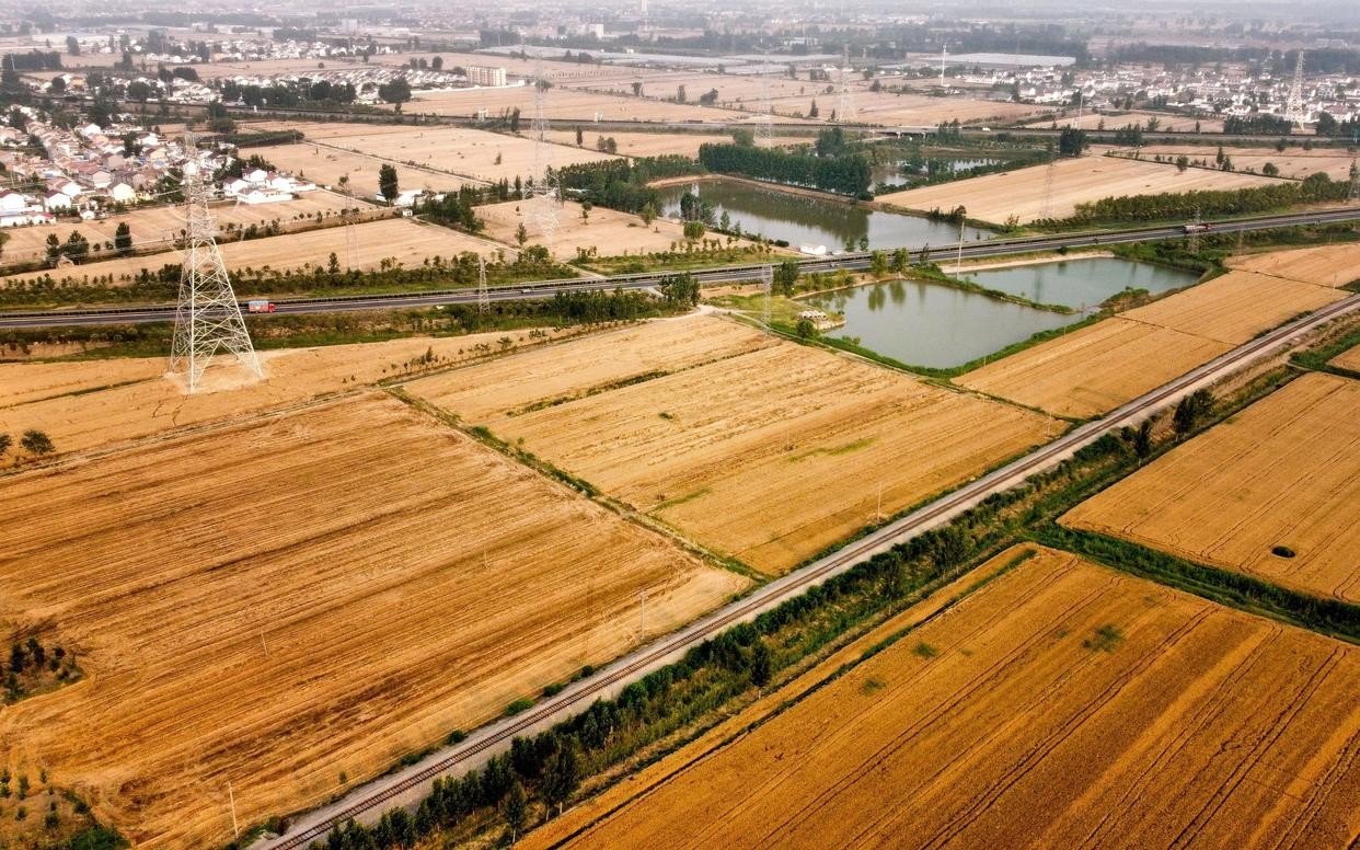粮食十九连丰是什么意思