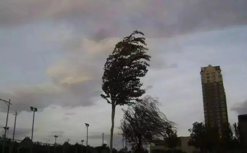 重庆多地刮起狂风，小伙被大风吹起离地近三米，11级大风到底有多强？
