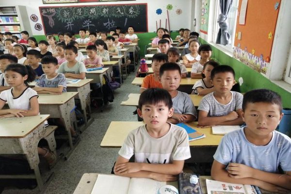 起居无时打一最佳生肖