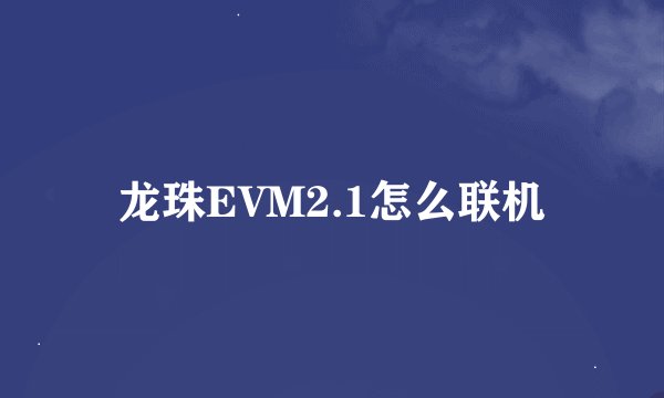 龙珠EVM2.1怎么联机