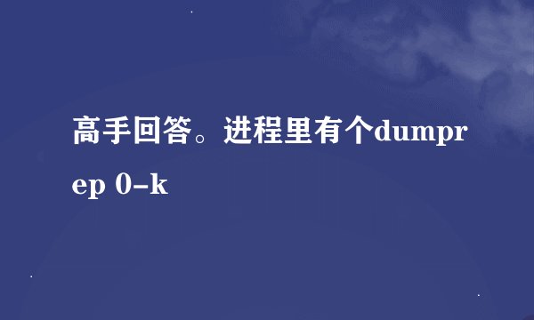 高手回答。进程里有个dumprep 0-k