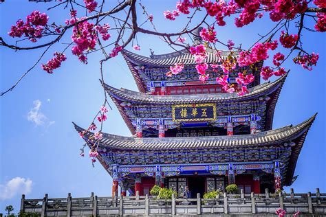 苍山洱海变人山人海,大理遭遇“报复式旅游”!这里为何备受年轻人喜欢?