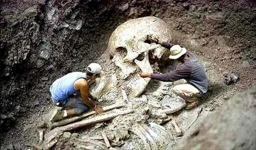 以色列发现新型远古人类化石,科学家对其进行研究后有何发现?