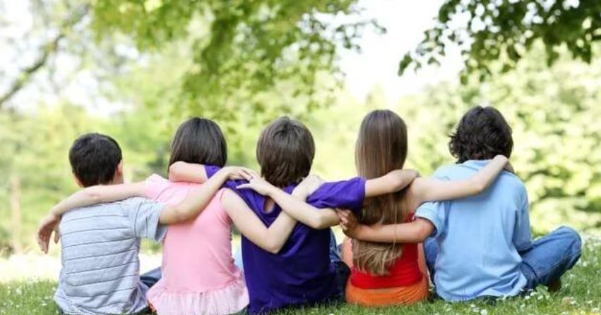 谊的笔顺和拼音