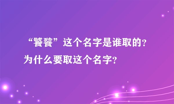 “饕餮”这个名字是谁取的？为什么要取这个名字？