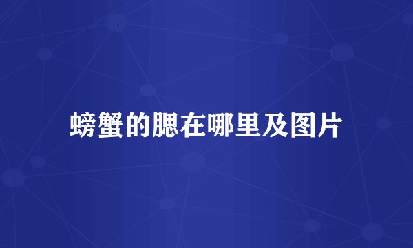 螃蟹的腮在哪里及图片