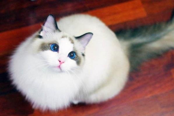 喜欢经常换头像的人是缺乏安全感吗？