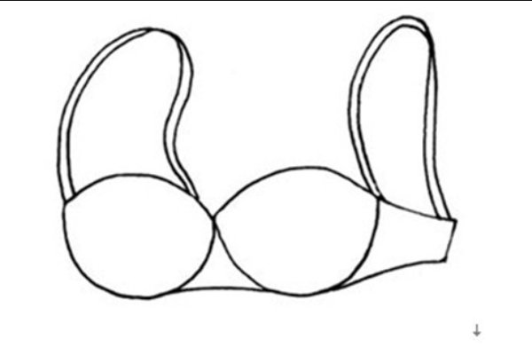 bra是什么意思中文