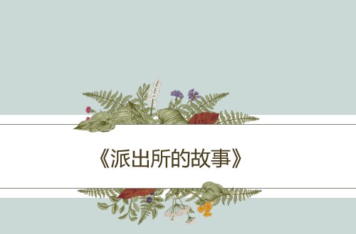 刘圆圆演的所有电视剧