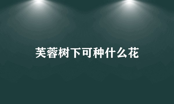 芙蓉树下可种什么花