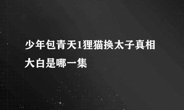 少年包青天1狸猫换太子真相大白是哪一集