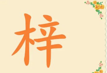 梓的含义是什么