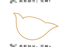 抗战胜利花是什么，怎么做？